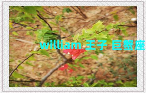 william 王子 巨蟹座